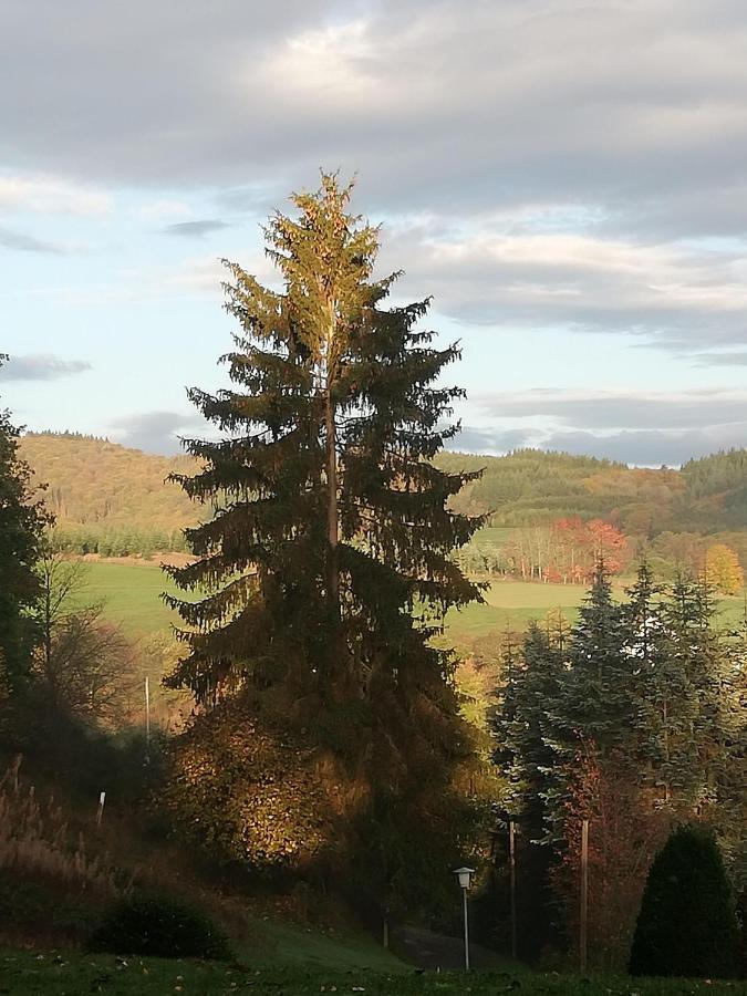 Ferienwohnung-In-Schoenster-Lage Baar  Eksteriør bilde